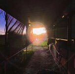 E3681BCB-CCE9-4E79-917A-04C2D15E9BB0.jpeg