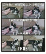 FB_IMG_1636149483780.jpg