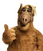 alf.jpg