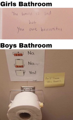 girls vs boys bathroom.png