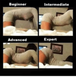 beginner-intermediate-expert-advanced-doggystyle-54212123.png