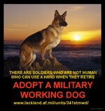 1308608923.k-9sarge_mwd_poster_1.jpg