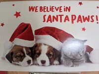 SantaPaws.jpg