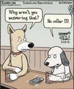 FB_IMG_1641073787426.jpg