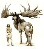 Irish-Elk.jpeg