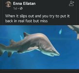 FB_IMG_1634005675091.jpg