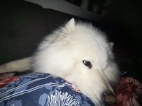IMG_20220220_210125.jpg