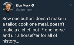 horsef-musk.jpg