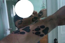 Paws.jpg