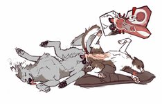 nopantsdog-2.jpg