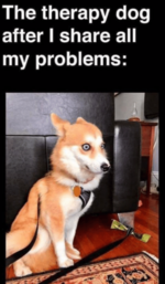 the-therapy-dog-after-i-share-all-my-problems-54558935.png the-therapy-dog-after-i-share-all-my-problems-54558935.png