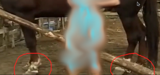 49-02-1.png 49-02-1.png