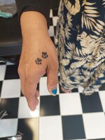 1626677405421.jpg