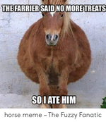 the-farrier-said-no-more-treats-soiate-him-horse-meme-51545144.png
