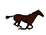 gif-horse-102.gif