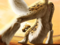 1653769302978.png