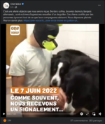 facebook onevoice 2.PNG facebook onevoice 2.PNG