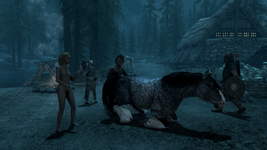 The Elder Scrolls V  Skyrim Special Edition Screenshot 2022.06.06 - 18.22.54.06.png