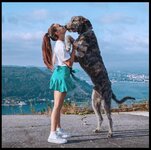 Irish wolfhound a womans best friend.jpg