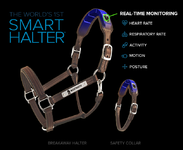 Protequus-Launches-Nightwatch-Edge-Computing-Smart-Halter-An-Early-Warning-System-For-Horses.png