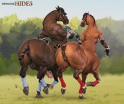 10258 - anus art artist_laser balls centaur grass mare outdoors penis raised_tail stallion tre...jpg