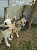 20151104_094604.jpg