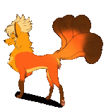 6030b66951a77075d4c5d4216b61a83d.gif