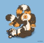 1641077867.digitoxici_kittykulzapin.png