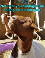 Old goat2.jpg