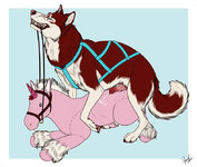 _hybernation_angrywusky2lr.jpg