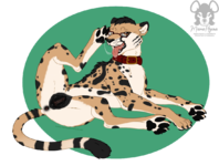 1623180643.mama-hyena_feline_base_saberhorn2wm.png