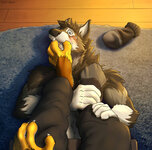 1582491438.footpaws_sock_on_this.jpg