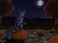 186a991f0a5c8bcbe50f165f577647cc.jpg