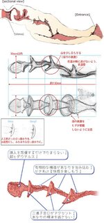 6710-dolphin-onahole-9.jpg