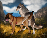 darkicewolf_1.jpg