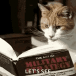 cat-reading.gif