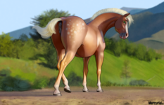 7870_anus_art_artist-colon-mercurial64_feral_grass_looking+at+you_looking+back_mare_mountains_...png
