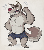 1452901058.buffalonickels_underw_boxers.png