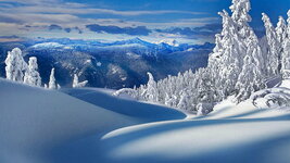 snow-winter-frost-snowy-wallpaper-preview.jpg