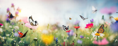 istockphoto-1201252157-612x612.jpg
