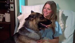 bionic-dog-10-1.jpg