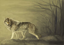 silence_by_cottondragon_d4ahbst-fullview.jpg