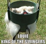 louie-king-of-the-swingers.jpg