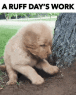 1674363363924.gif
