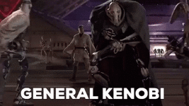 general-kenobi-kenobi.gif