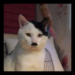 1674948047274.png