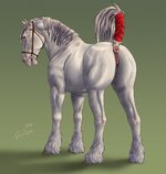 11281_anus_art_artist-colon-dracenmarx_mare_raised+tail_vulva.jpg