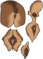 stygimoloch_grizzlybearpussy.jpg