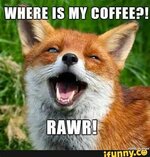 Coffeerawr.jpg