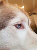 20230129_145137.jpg